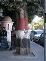 Revolutionstræ på Tahrir